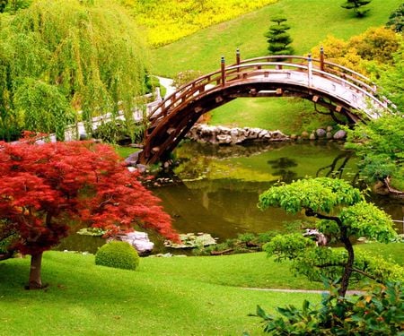 BEAUTIFUL AND PEACEFUL.. - nature, trees, peace, leafs, beautiful, grass, quite, bridge