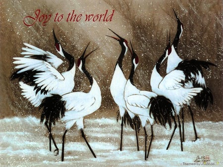 Birds Joy - black, birds, white, beaks, long bird legs