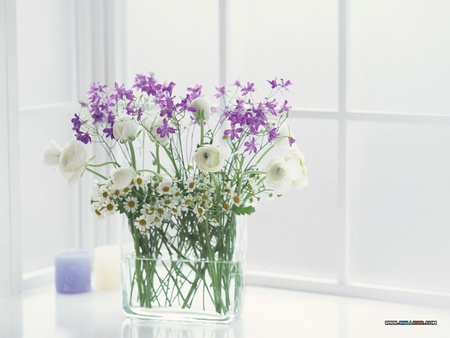 White Lavender - fresh, glass, candles, water, bouquet, dish, florals, spring, bright, white, window, sunny, flowers, cuts, lavender