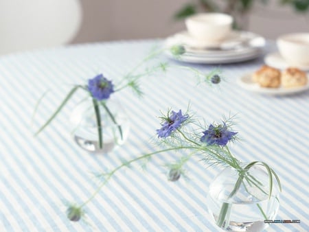 Sprints - saucers, bowls, glass, cups, spring, cloth, purple, wild, table, flowers, biscuits