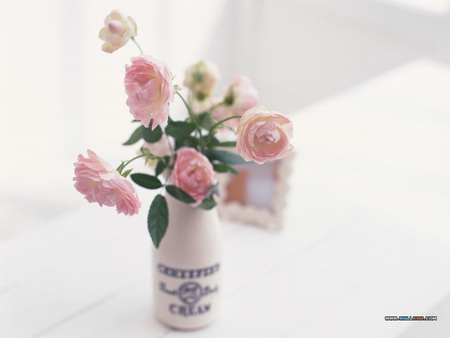 Cream's - feminine, soft, delicate, bouquet, spring, white, picture, jar, pretty, creamer, pink, flowers, cuts, setting