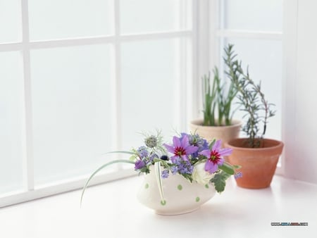 Window Trinkets - stems, pots, bowl, plants, spring, bright, sill, panes, colours, variety, window, leaves, flowers, porcelain, cuts