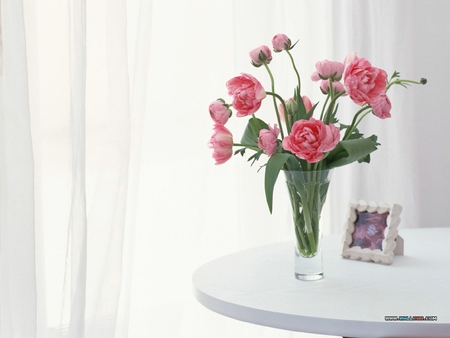 Pink Peonies - elegant, window, spring, pink, flowers, fresh, garden, cuts, vase, table, lovely, florals, peonies, picture, bright, sheers, glass