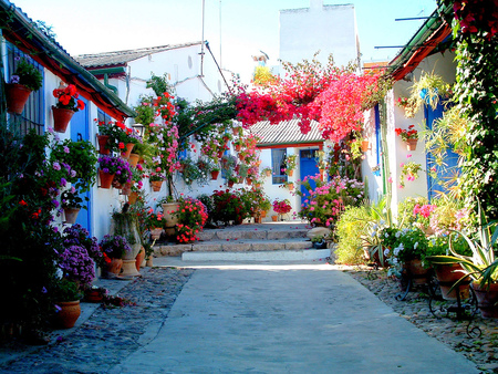 Andalucia - beautiful, flowers, andaluzija, amazing, andalucia, spain