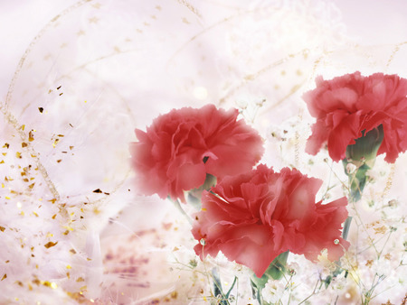 Pink Carnations - ruffles, florals, spring, carnations, colours, pretty, pink, petals, flowers, cuts