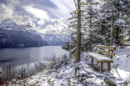 Winter Bench View - ice, art photo, snow, beautiful, water, bench, pine trees