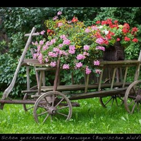 Flowers Cart