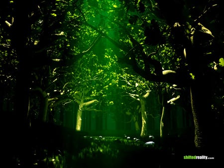 green_forest - leafs, trees, nature, jungle, forest