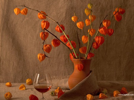 Orange Is Sexy - rust, glass, stems, burlap, wine, vase, still, life, orange, flowers, natural