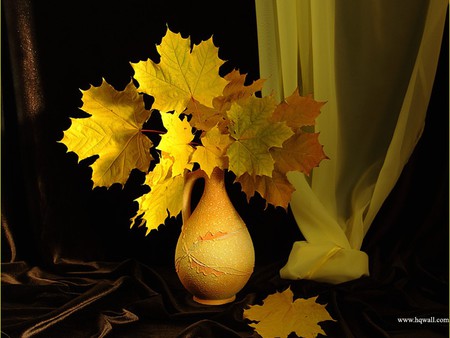 Golden Quite - sheers, autumn, still life, vase, fall, brown, yellow, display, table, leaves, golden