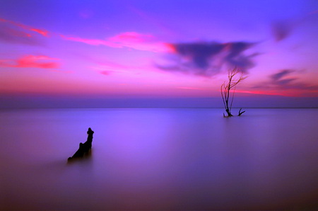 Soft evening lights - sky, blue and pink, mist on water, lake, driftwood, clouds