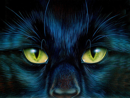 Cat - cat, yellow eyes, black cat, intense