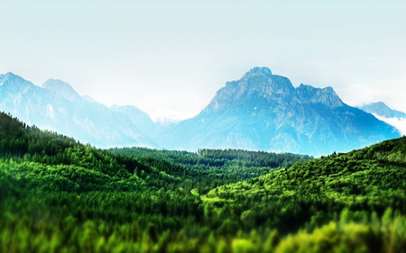 Into the Wild Green Yonder - nature, amazing, landscape, forest, beautiful, green, mountains