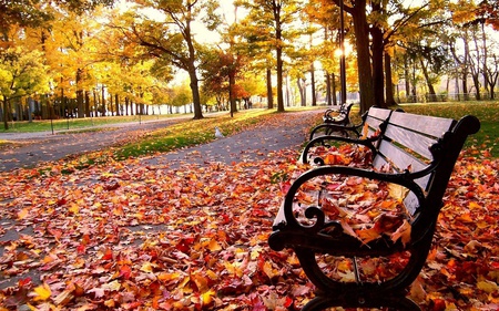 Red Autumn - nature, amazing, beautiful, autumn, red, landscape, park, times of the year