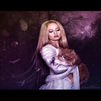 KITTY-CAT