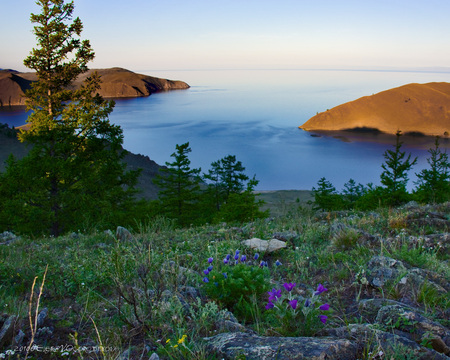 Province of Irkutsk, Siberia - russia, trees, hills, water, scenery, colour, lavendar, scenic, flowers, wildflowers, purple, green, cliffs, field, lake, rocks