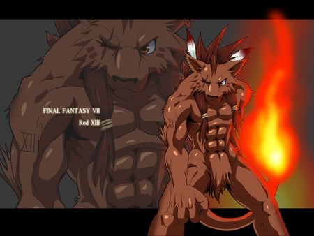 furry muscle - final fantasy vii, furry, fire, wolf, red xiii, muscle