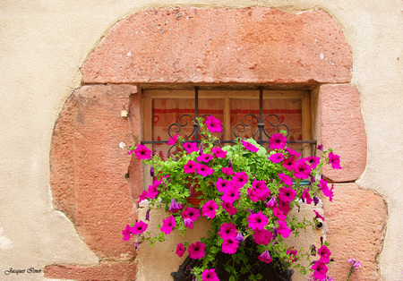 Beautiful Window - pot, flowers, beautiful, red, stone house window, small, art photo, petunias