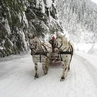 A Snowride in Austria