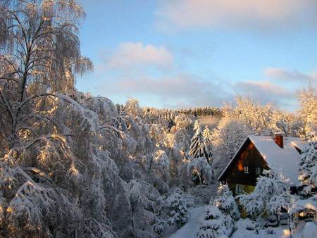 Winter at the Cottage - christmas, winter, cabin, snowy, snow, chalet, cottage