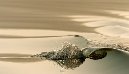 Gentle Wave - nature, photography, water, gentle, photo, wave, bulgaria