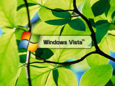 Vista tree - microsoft, wood, computers, windows, colors, tree, sytem, green, 3d, internet, technology