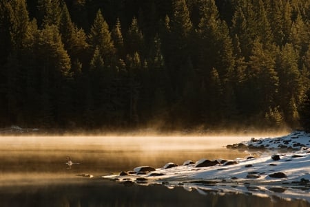 Evergreen Coast - mountain, trees, photography, smoke, bulgaria, coast, rocks, nature, evergreen, forest, snow, river, green, tree, photo