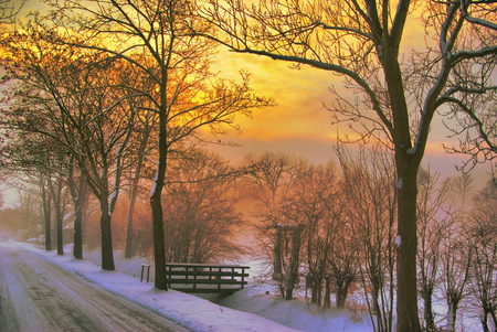 Winter morning - snow, sunrise, winter, sky