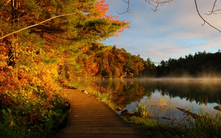 remember when.. - lake, autumn, trees, way, path