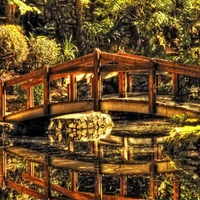 Paceful Place
