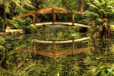 A Day In The Park - trees, paceful, day, water, park, river, beautiful, green, tree, bridge