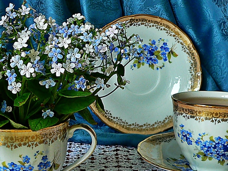 delicate blues - curtain, flowers, plate, lace, tea, saucer, cup