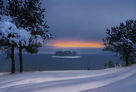 Winter sunset - white, ocean, trees, snow, beautiful, water, sunset