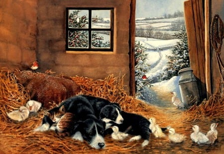 Warm And Cozy - duck, trees, birds, window, snow, dog, valley, ducklings, chicks, barn, straw, hay, milk can, puppy