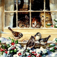 Bird Watching