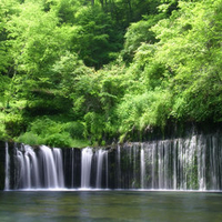 Lush Waterfall