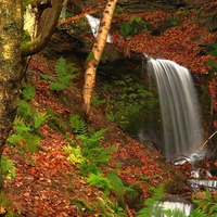 Colorful Waterfall