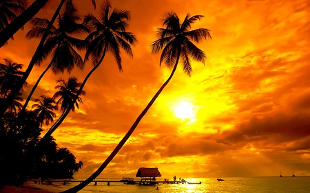 Orange Paradise - orange sun, sun, water, palms, ships, cloud, orange, house, sand