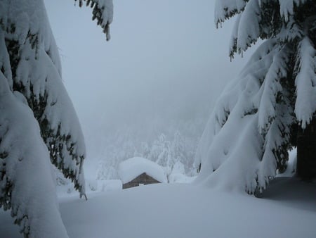 Chalet Christmas - chalet, snow, winter, snowytrees, cabin, christmas