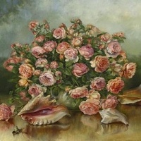 Roses & Shells