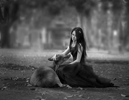 CLOSE TO HEAVEN - sitting, girl, forest, beautiful, deer