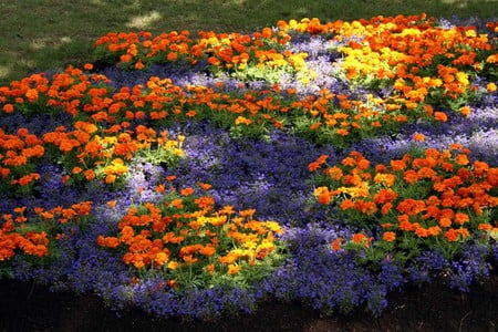 flowers - flowers, beautiful, garden, colourful, park