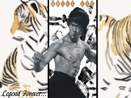 the dragon & the tiger - dragon, bruce-lee, china, tiger, martial arts