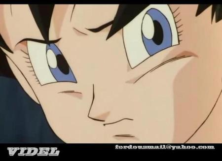 Dragonball Z Videl posted by ferdousmail@yahoo.com