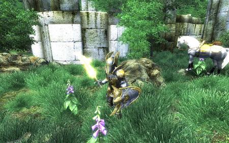 Oblivion - armor, widescreen, game, oblivion, wds, weapon, knight, rpg