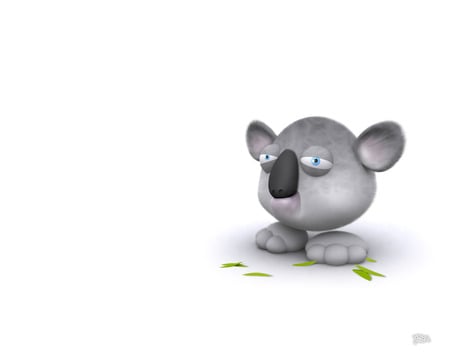 Koala Bear - mz