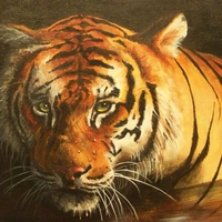 painting tiger