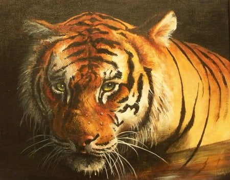 painting tiger - painting, tiger, cat, animals