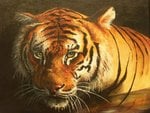 painting tiger