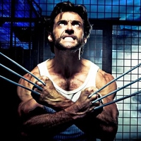 WOLVERINE